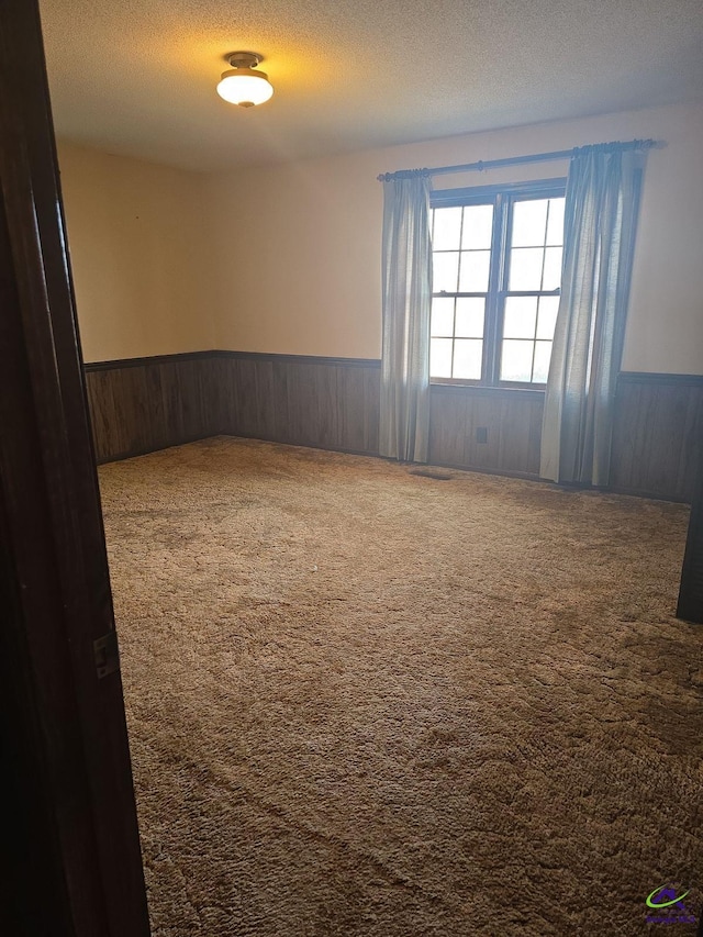 empty room featuring a textured ceiling and carpet flooring