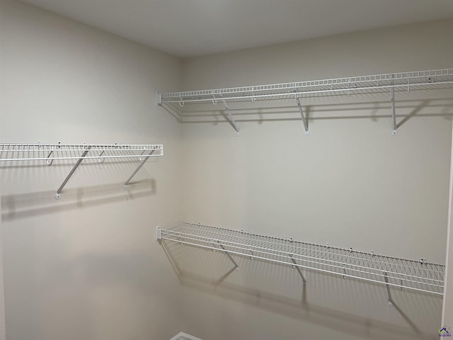 view of walk in closet