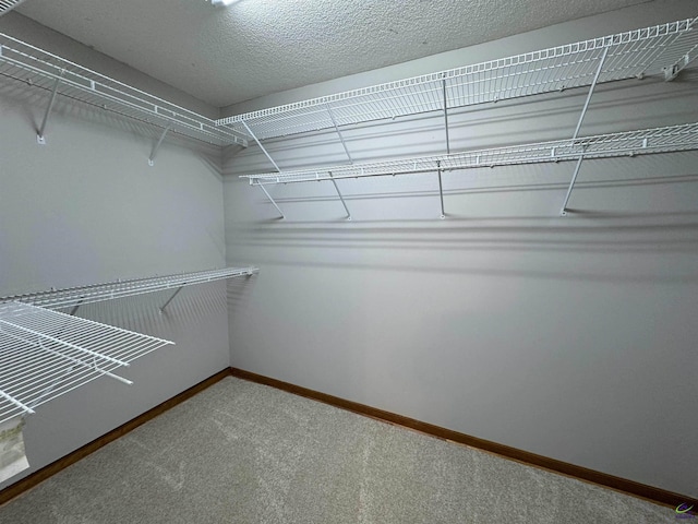 spacious closet with carpet