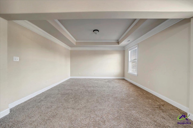 unfurnished room featuring a tray ceiling, ornamental molding, and carpet flooring