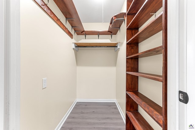 spacious closet featuring hardwood / wood-style floors