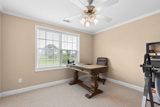 carpeted office space with ceiling fan and ornamental molding