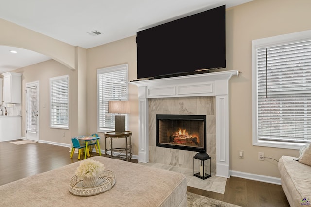 living room featuring a fireplace and wood-type flooring