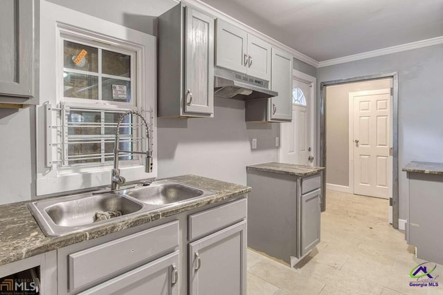 kitchen featuring crown molding, gray cabinets, and sink