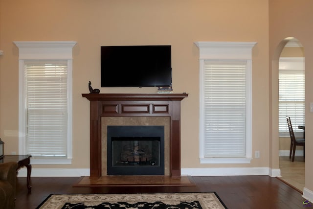 living room featuring dark wood-type flooring and a fireplace