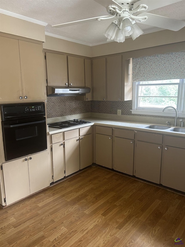 kitchen with backsplash, sink, light hardwood / wood-style flooring, and black appliances