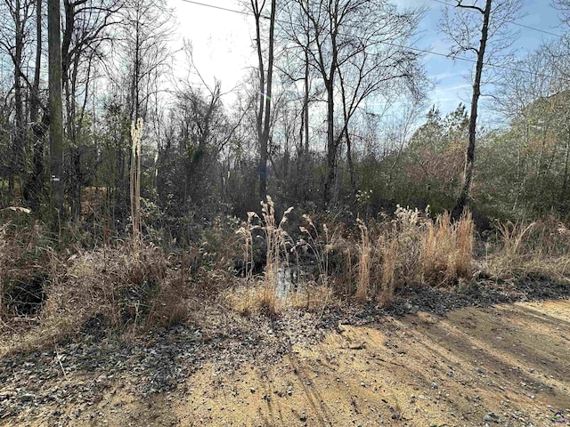 Listing photo 3 for 0 Cyler Rd, Gray GA 31032