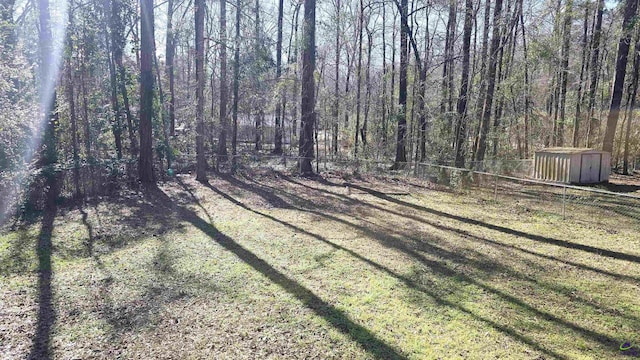 view of yard with a storage shed