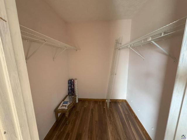 spacious closet with dark wood-type flooring