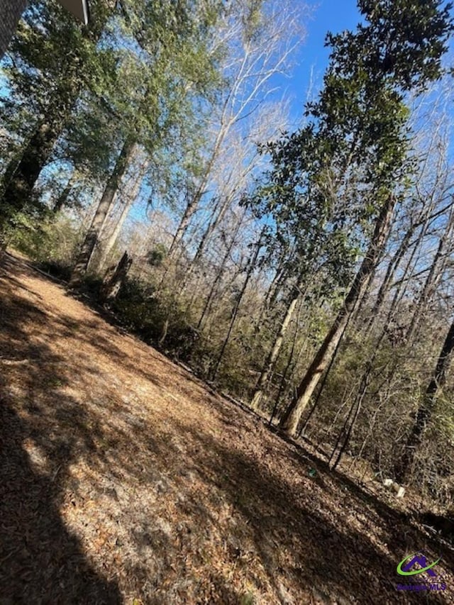 view of local wilderness