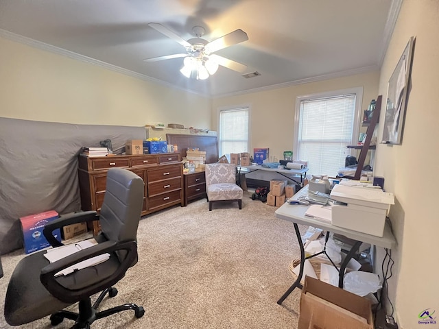 home office featuring ceiling fan, ornamental molding, visible vents, and light colored carpet