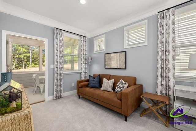 223 Flat Shoals Dr, Bonaire, GA 31005 - living area with crown molding and light carpet