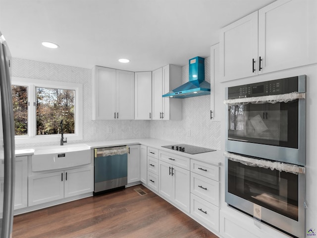 kitchen featuring wall chimney exhaust hood, white cabinetry, stainless steel appliances, and sink