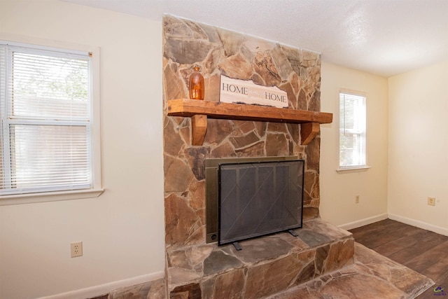 details with wood-type flooring and a stone fireplace