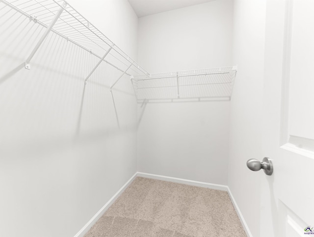 687 Jasmine Dr, Macon, GA 31211 - walk in closet with carpet
