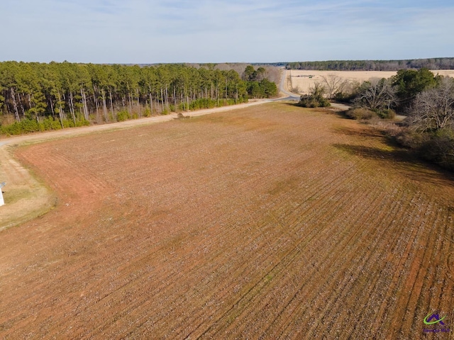 drone / aerial view featuring a rural view