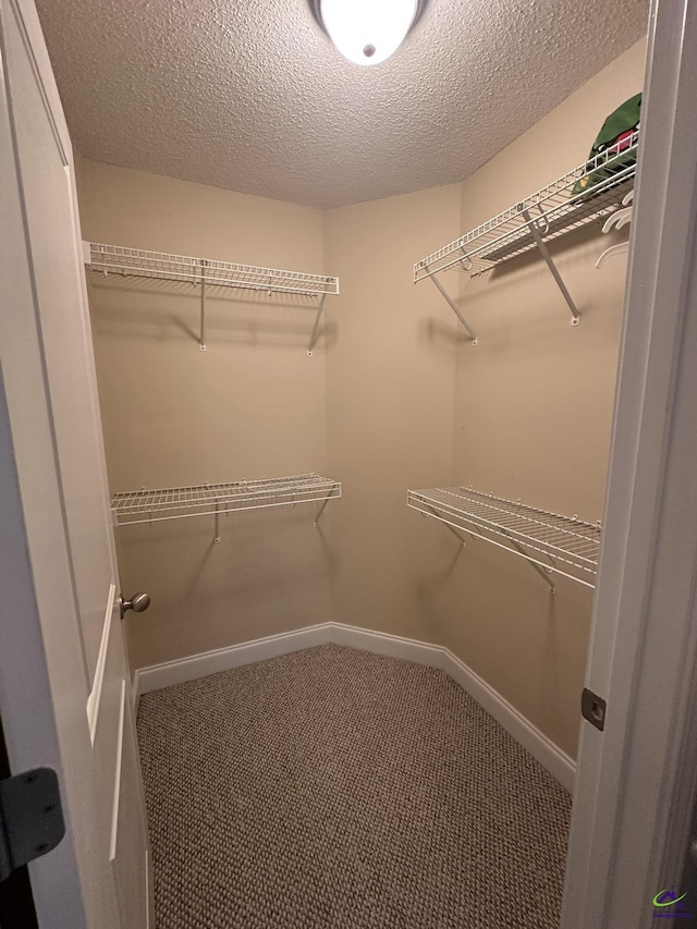 walk in closet featuring carpet