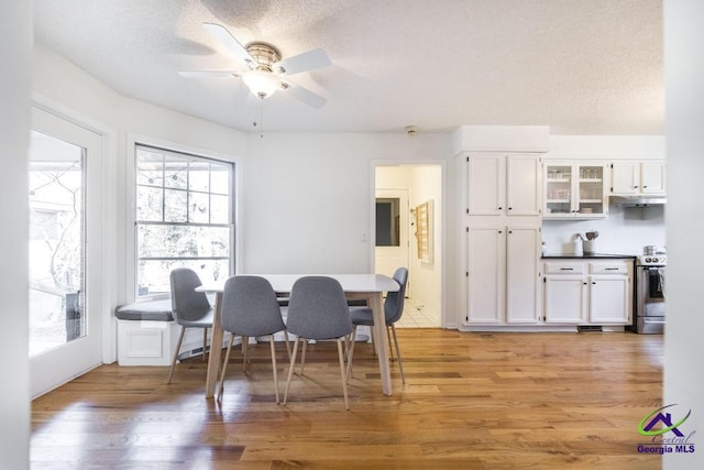 dining space with ceiling fan, wood-type flooring, and a textured ceiling