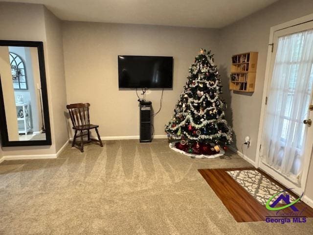 sitting room with carpet flooring