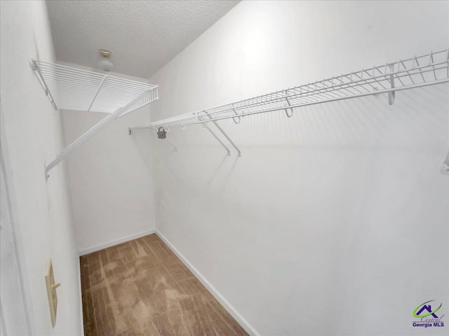 walk in closet featuring carpet flooring