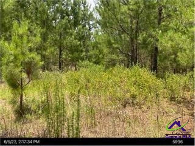 Margaret Ln, Hawkinsville GA, 31036 land for sale