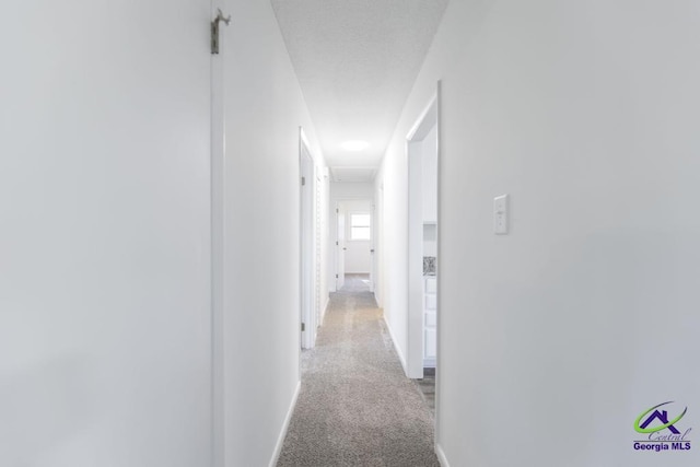 corridor featuring carpet floors