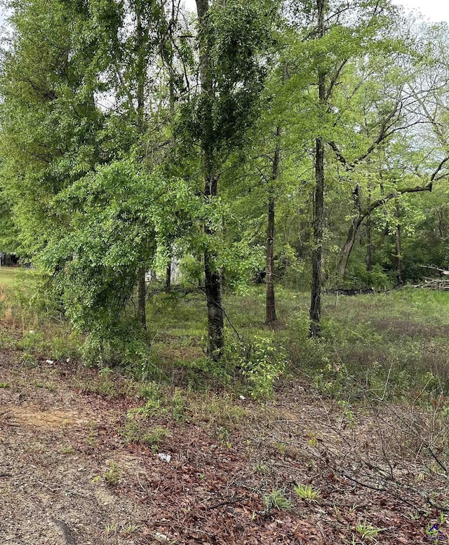 7515 Goodall Mill Rd, Macon GA, 31216 land for sale