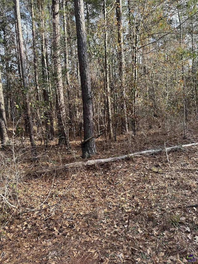 401 Short Rd, Hawkinsville GA, 31036 land for sale