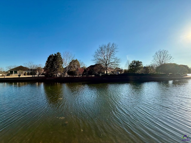 view of water feature