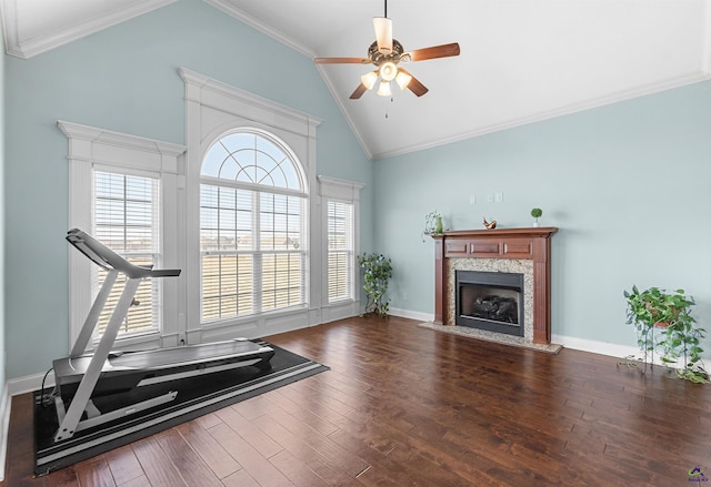 workout room with crown molding, high vaulted ceiling, dark hardwood / wood-style floors, and a fireplace