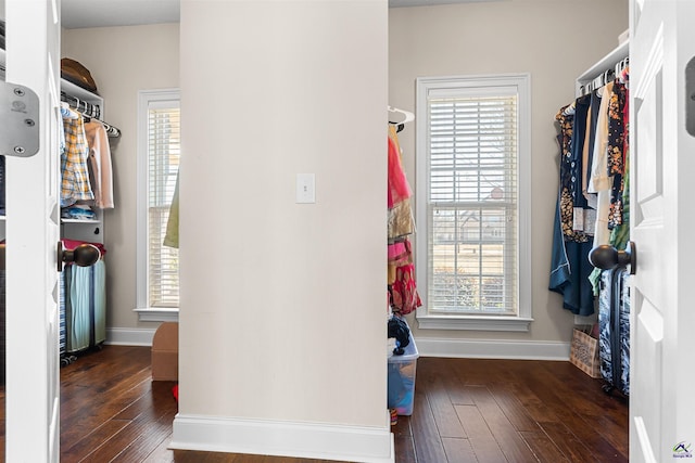 walk in closet featuring dark hardwood / wood-style flooring