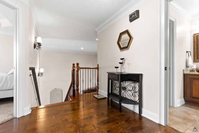 corridor featuring crown molding and dark hardwood / wood-style flooring