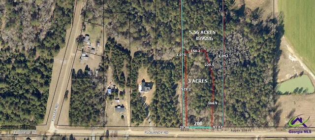 Flournoy Rd, Hawkinsville GA, 31036 land for sale