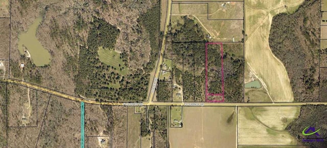 Listing photo 3 for Flournoy Rd, Hawkinsville GA 31036