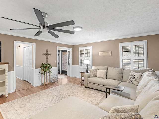 living room with crown molding, ceiling fan, a textured ceiling, and light hardwood / wood-style flooring