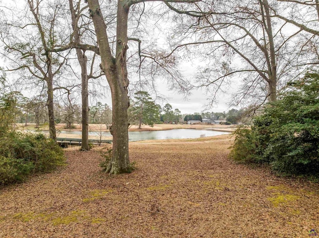 view of yard with a water view