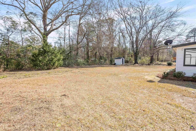 view of yard with a storage unit