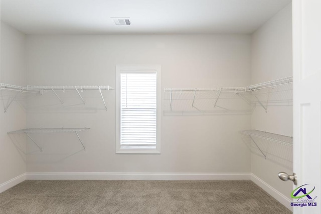 walk in closet featuring carpet