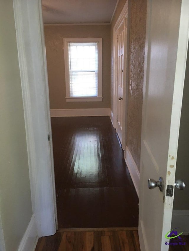 corridor with crown molding and dark hardwood / wood-style flooring