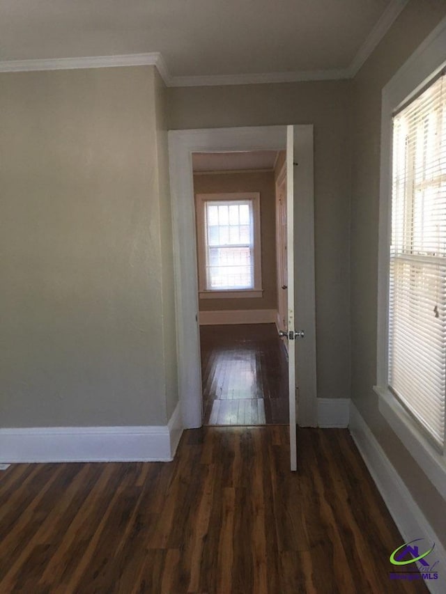 hall with ornamental molding, plenty of natural light, and dark hardwood / wood-style flooring