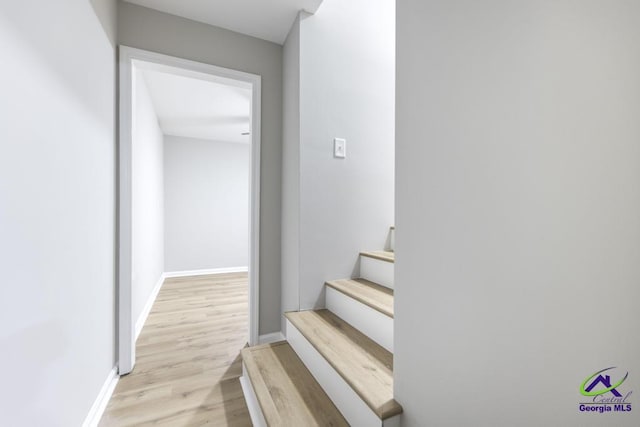 staircase with wood-type flooring