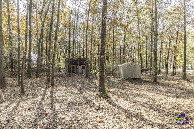 view of yard with a shed