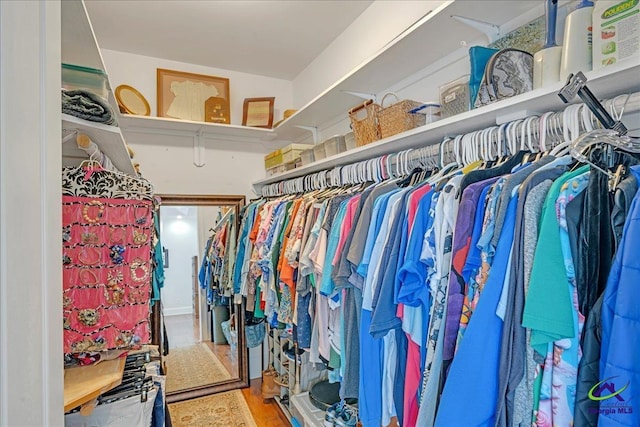 walk in closet with wood-type flooring