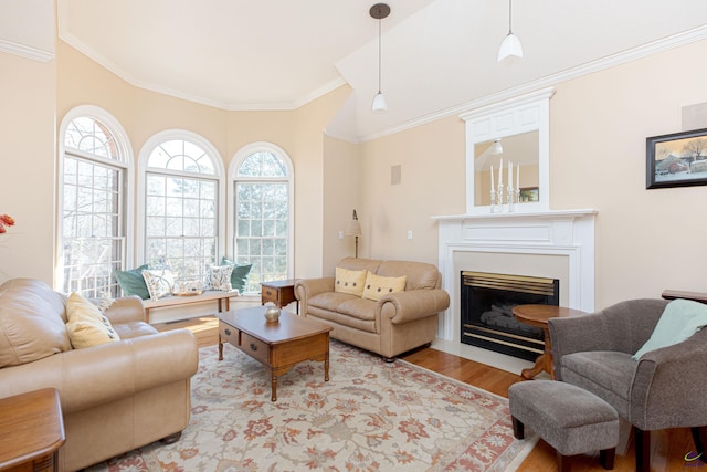 living room with ornamental molding, a wealth of natural light, and light wood-type flooring