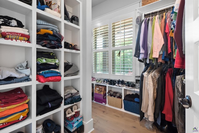 walk in closet with light wood-type flooring