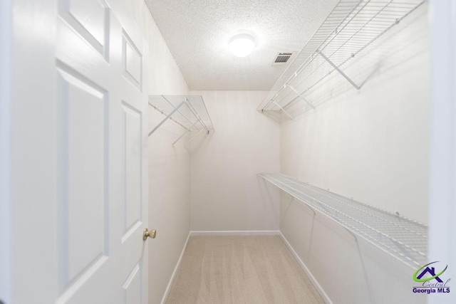 walk in closet with light carpet