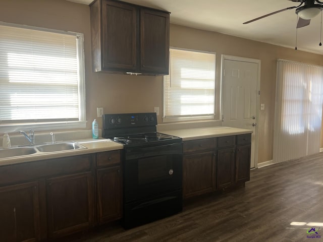 kitchen with a healthy amount of sunlight, dark brown cabinets, black electric range oven, and sink