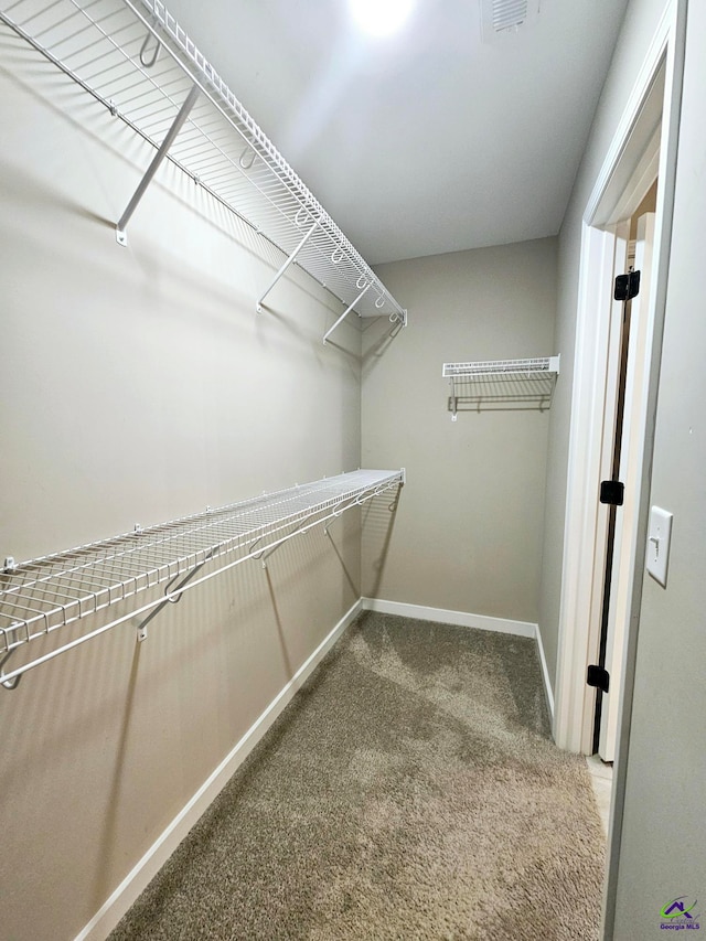 walk in closet featuring carpet flooring