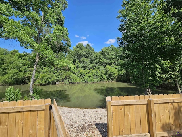 47 Cole Dr, Hawkinsville, GA 31036 - water view with fence