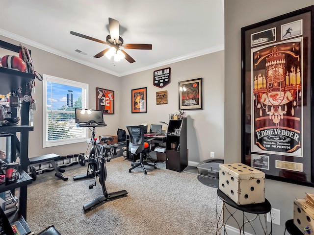 exercise room featuring crown molding, ceiling fan, and carpet flooring